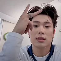 dương domic