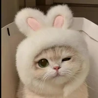 hệ thống