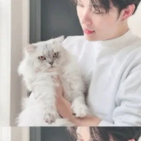 Trần Đăng Dương