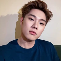 Trần Đăng Dương-Dương Domic