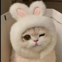 hệ thống