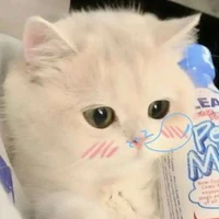 t/g nek 