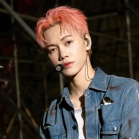 Thái Sơn(con mèo hồng)