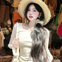 Tô Điển Điển