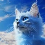 lam miêu💙 ( blue dạng mèo)