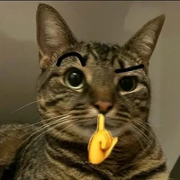 Tg hướng tùm lum