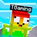 T.Gaming🌈