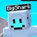 Big shark 🦈