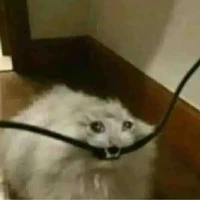 Tôi - con bánh mì ram ram