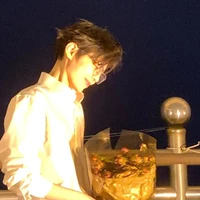 Tống Vãn Nghiên Phu