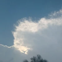 ???