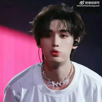 đinh trình hâm