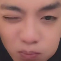 tác giả có dth k??