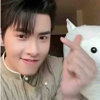 all top và huỳnh hùng