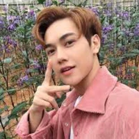 Nguyễn Thái Sơn-Jsol