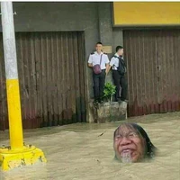 t/g bị ngu =))