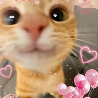 Tác giả đu tùm lum
