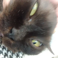 all-trừ những người cần trừ 