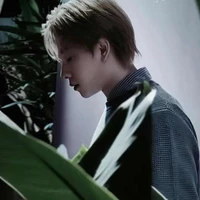 Trần Phong Hào_Đội Nghiên Cứu