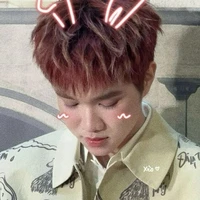 Hệ thống _ Cừu 