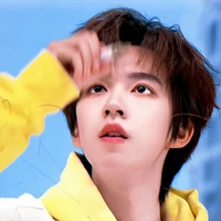 Hạ Tuấn Lâm