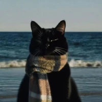 ｡⁠☆彡𝐓𝐞𝐚𝐡𝐲𝐮𝐧彡☆｡