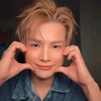 Phạm đình thái ngân[ngân]