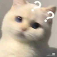 ?