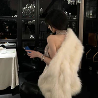 Trần Hàn Vy_Tô Phu Nhân