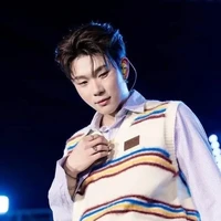 dương domic