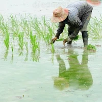 Hoàng Đức Thành - Cha Duy