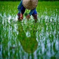 Bà Hai - Mẹ Quang Anh