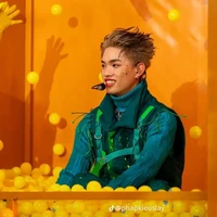 Nguyễn Thanh Pháp (trước khi xuyên)