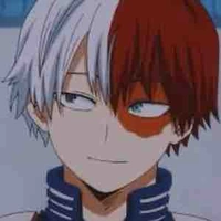 Shoto Todoroki