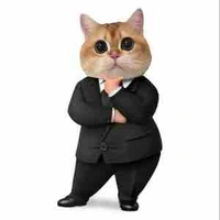 Nhân viên công ty