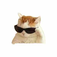 Nhân viên công ty