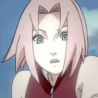 Sakura 