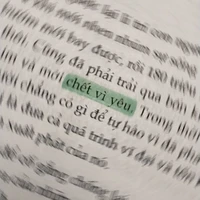 NVP