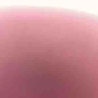 Nvp