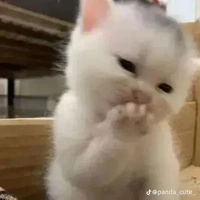 all