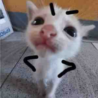 T/g hay lười :))