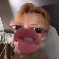 Tác giả nò