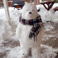 Polar bear