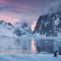 Antarctica