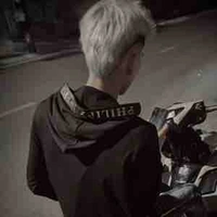 Đỗ Hoàng Việt 