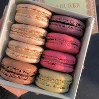 All bop(trừ ai thì trừ)