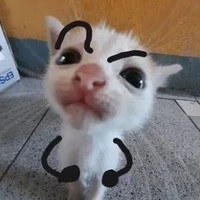 cân tất cả mọi nhân vật :)