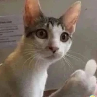 Nv bí ẩn ????