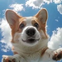 hệ thống zô tri