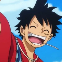 Monkey D Luffy